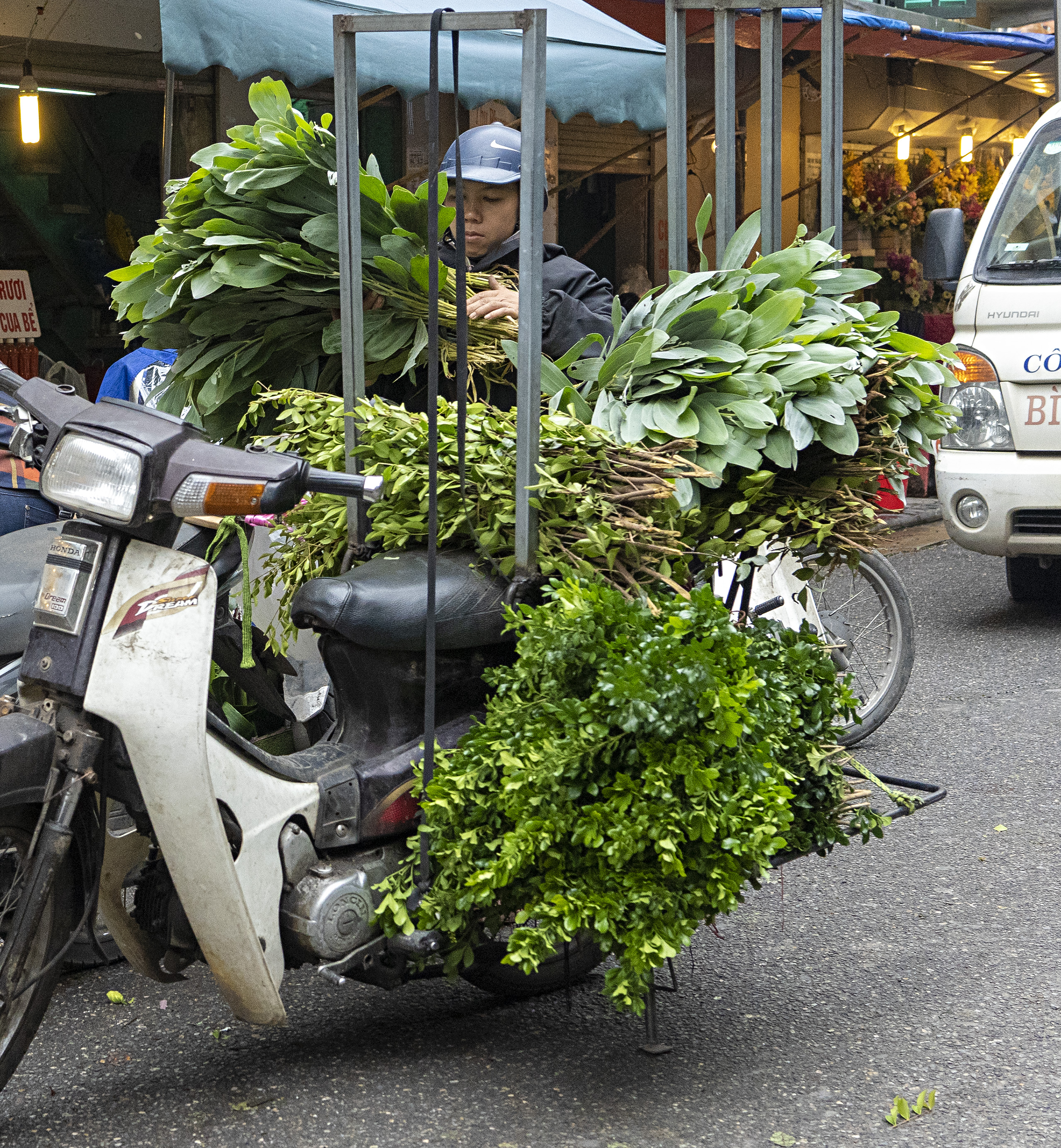 Ha Noi, green grocer