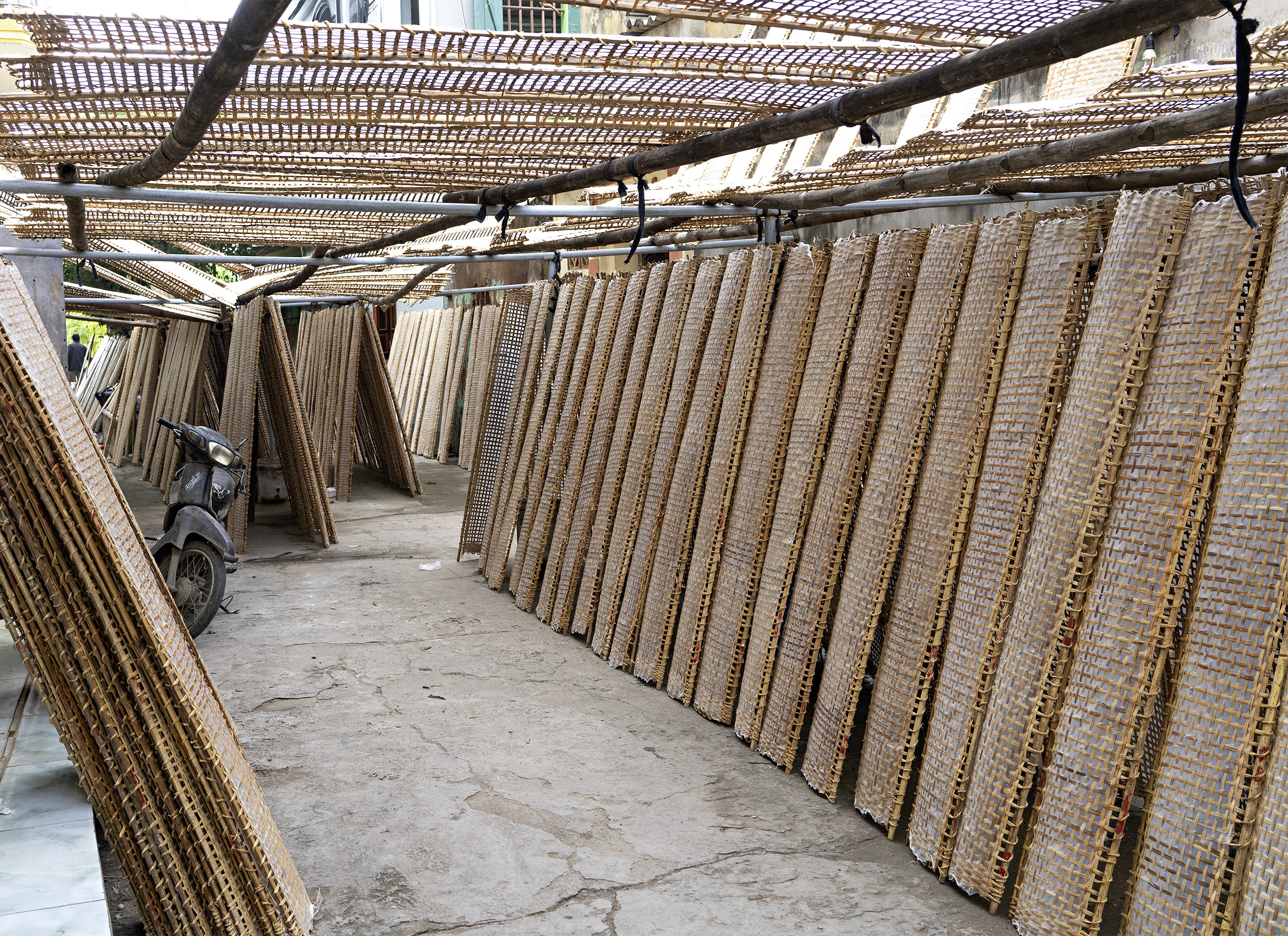 Tho Ha, rice paper drying 02